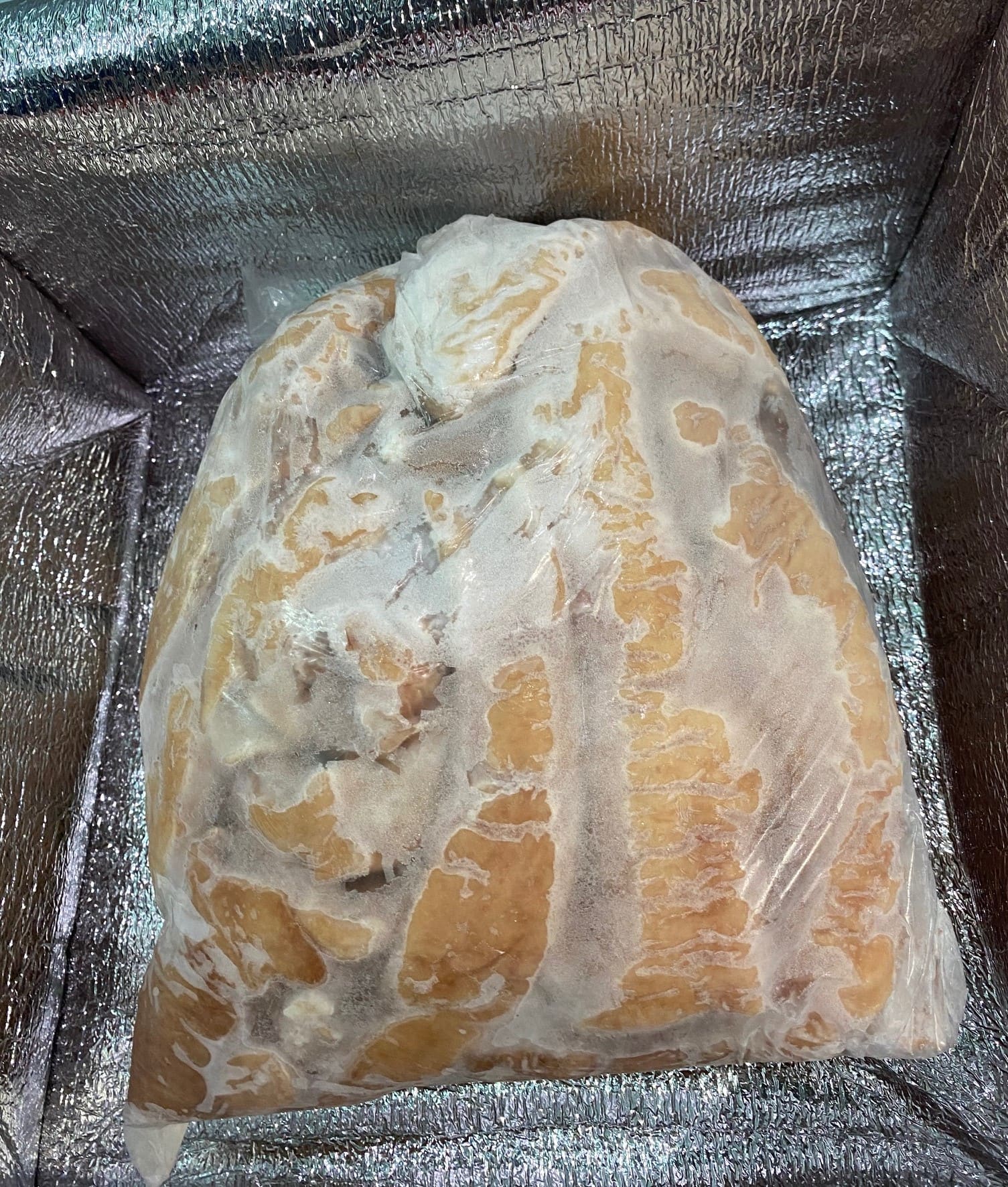 巴西豬大腸