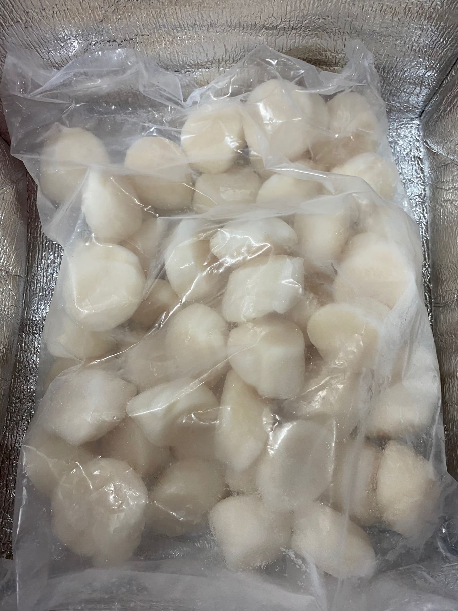 美國帶子 (10-20隻/磅)